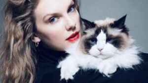skynews-taylor-swift_6681611-1